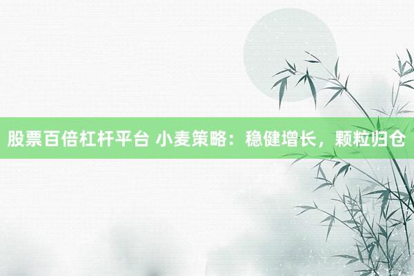 股票百倍杠桿平臺 小麥策略：穩(wěn)健增長，顆粒歸倉