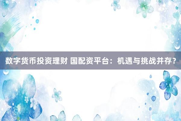 數(shù)字貨幣投資理財 國配資平臺：機遇與挑戰(zhàn)并存？