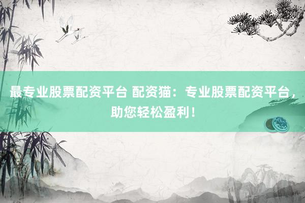 最專業(yè)股票配資平臺 配資貓：專業(yè)股票配資平臺，助您輕松盈利！